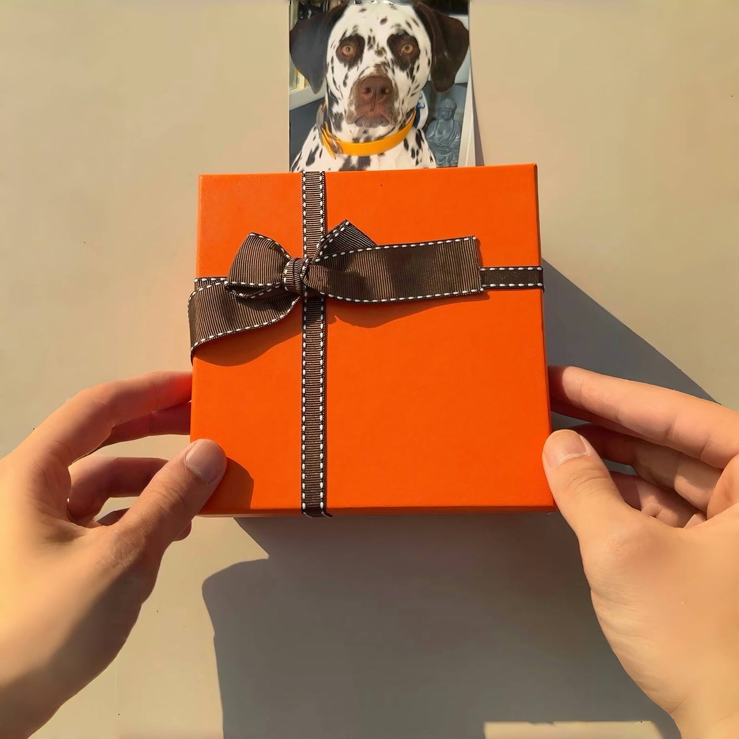 Premium Gift Box